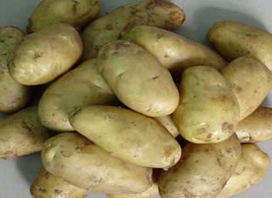 糧油類(lèi)配送：深圳土豆批發(fā)