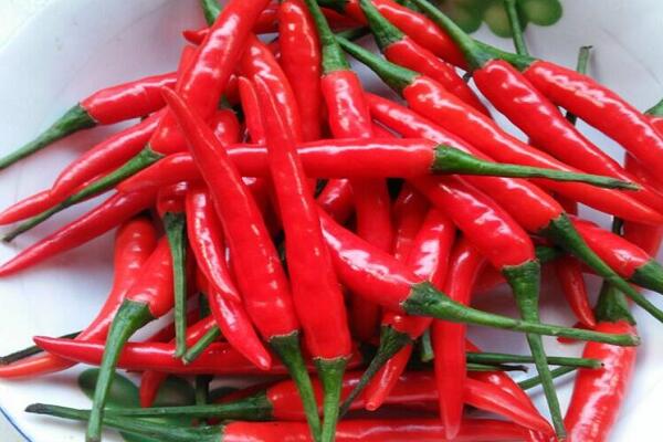 1760175065.jpg tupian_chaotianjiao4.jpg