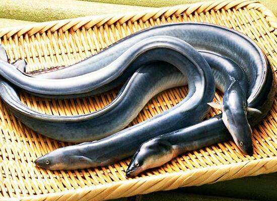 1760256929.jpg tupian_baishan2.jpg