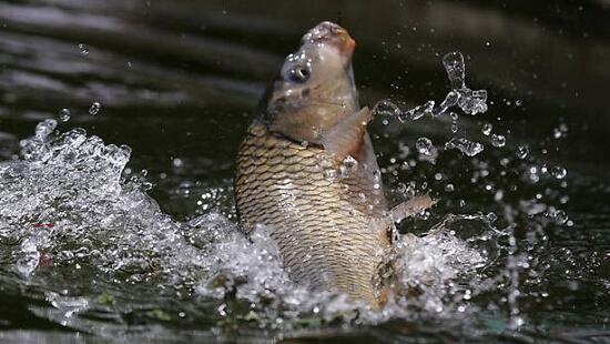 1760257023.jpg tupian_liyu1.jpg