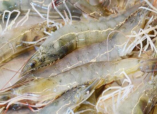 1760257353.jpg tupian_xia1.jpg