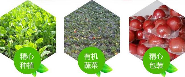 1760955379.jpg tupian_jidi11.jpg